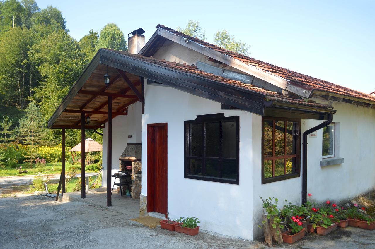 Holiday Home Tanevi Τριάβνα Εξωτερικό φωτογραφία